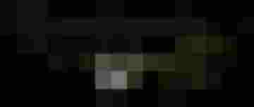 Logo des Pinzgauer Blasmusikverbands mit Blasinstrumenten und Pflanzenmotiven.